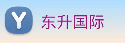 东升国际 logo